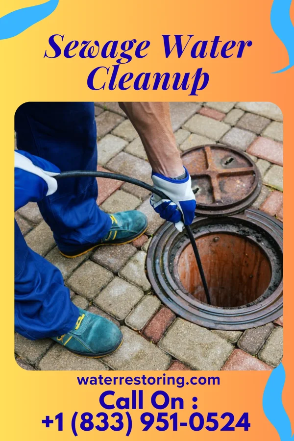 Sewage Water Cleanup in Waggaman, LA