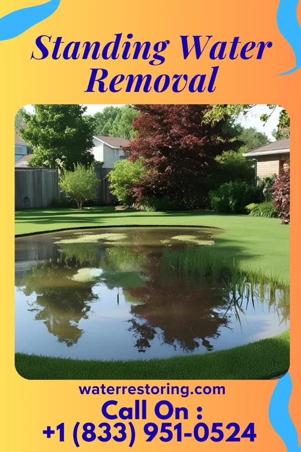 Standing Water Removal in Waggaman, LA
